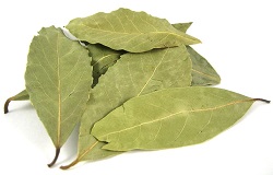 spices bay leaf 01